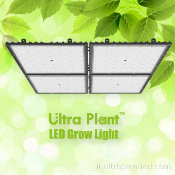 660nm LED coltiva la luce per la fioritura